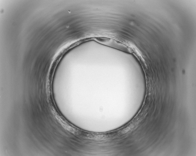 X0000087691072200705251703