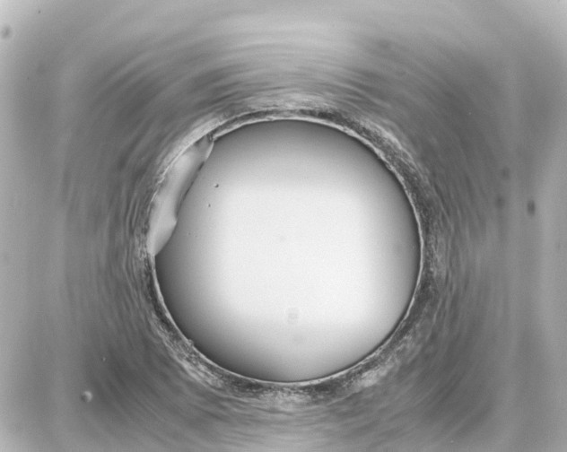 X0000087691073200705251703