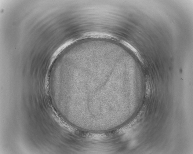 X0000087691074200705251703