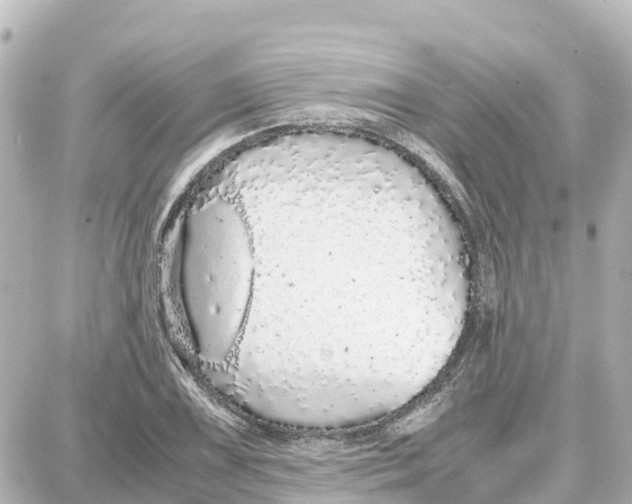 X0000087691075200705251703