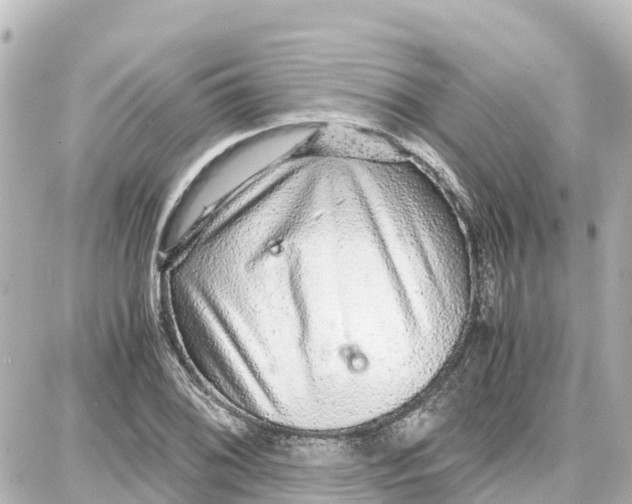 X0000087691076200705251703