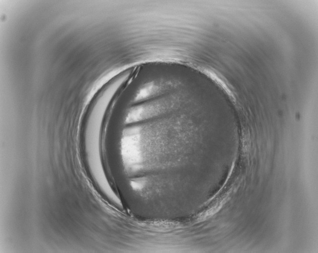 X0000087691077200705251703