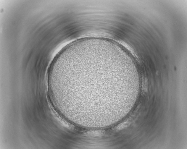 X0000087691078200705251703