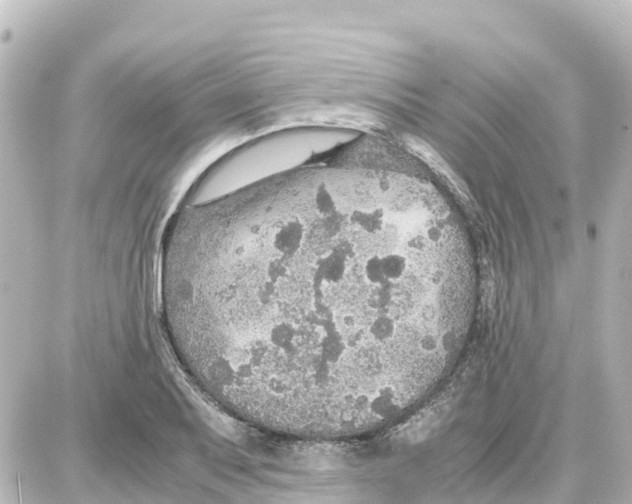 X0000087691079200705251703