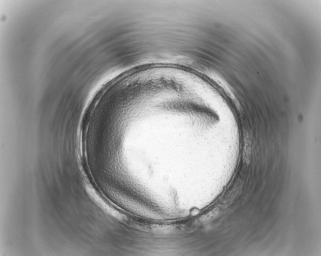 X0000087691080200705251703