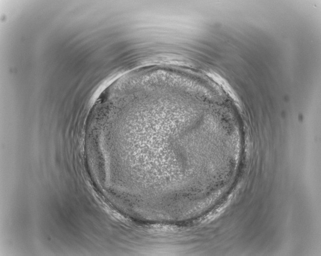 X0000087691081200705251703