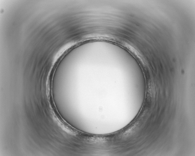 X0000087691082200705251703