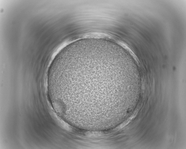 X0000087691083200705251703