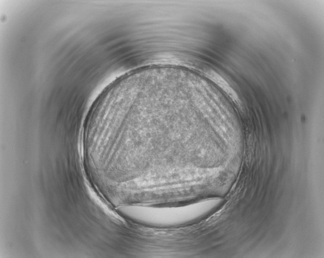 X0000087691084200705251703