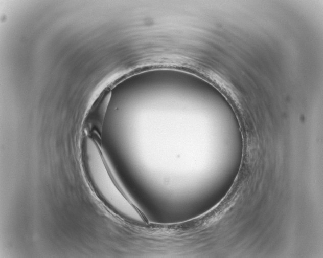 X0000087691085200705251703