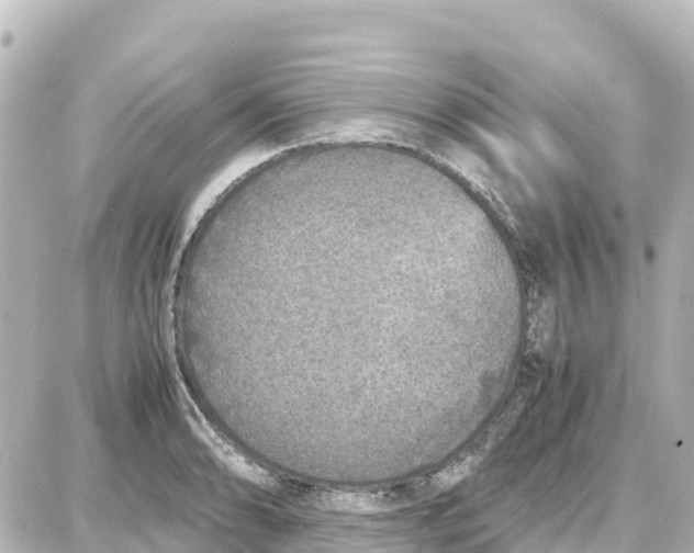 X0000087691086200705251703