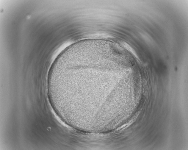 X0000087691087200705251702