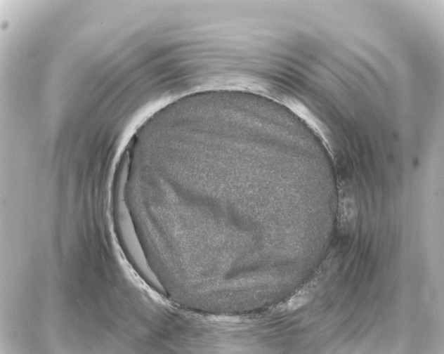 X0000087691088200705251702