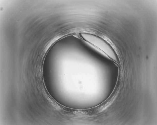 X0000087691089200705251702