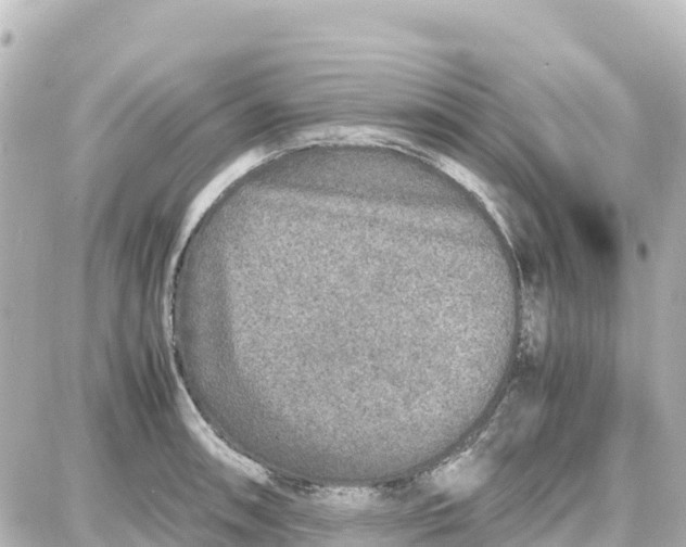 X0000087691090200705251702