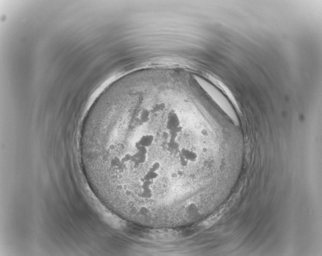 X0000087691091200705251702