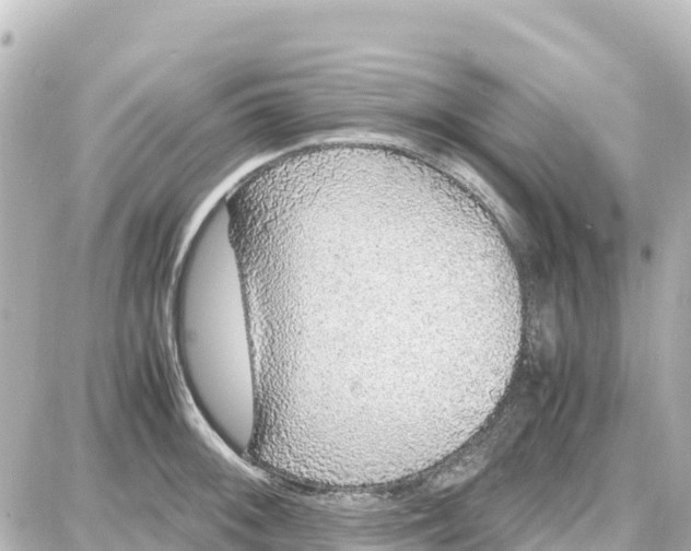 X0000087691092200705251702