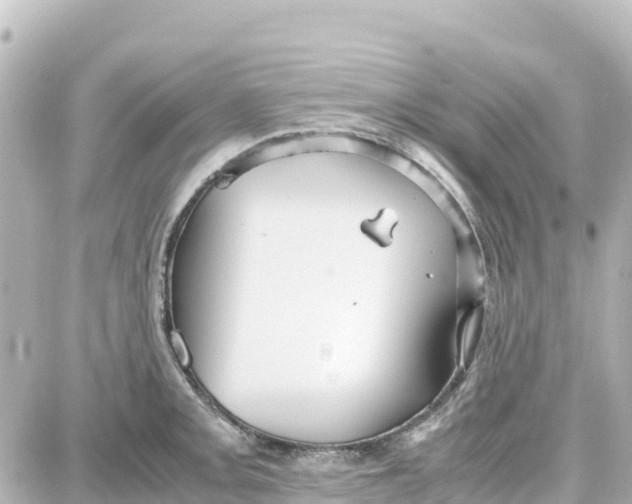 X0000087691093200705251702