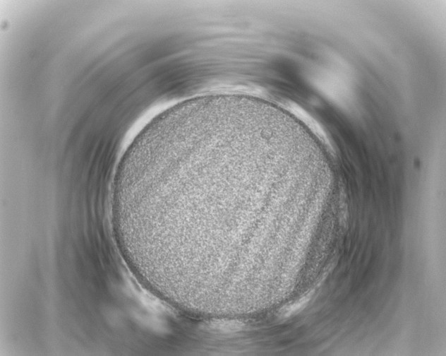 X0000087691094200705251702