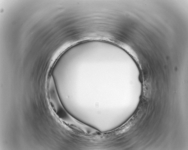 X0000087691096200705251702