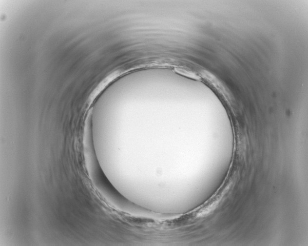 X0000087691097200705251702