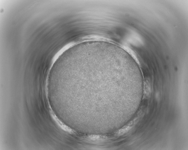 X0000087691098200705251702