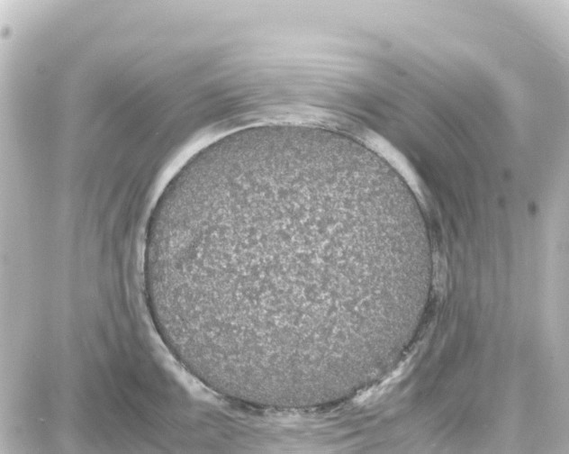 X0000087691099200705251702