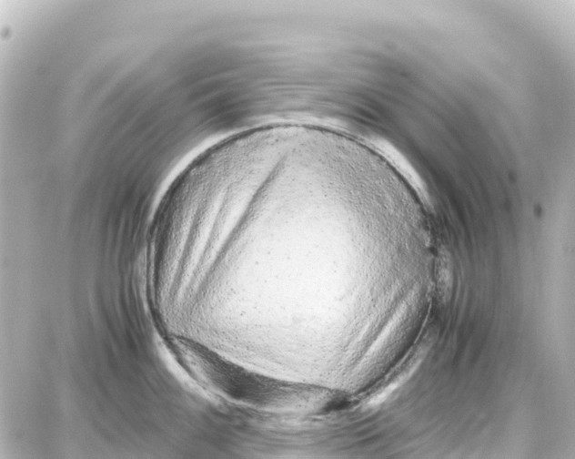 X0000087691100200705251702