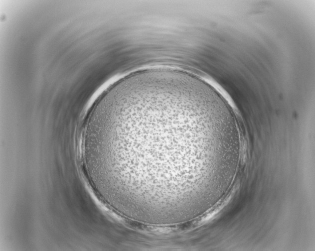 X0000087691101200705251702