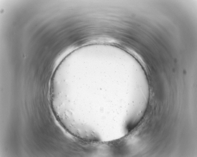 X0000087691103200705251702