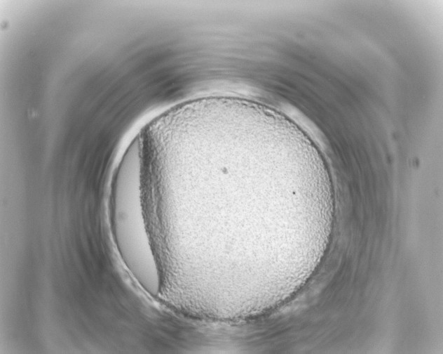 X0000087691104200705251702