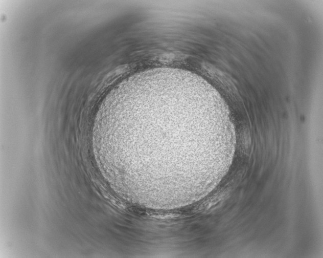 X0000087691105200705251701