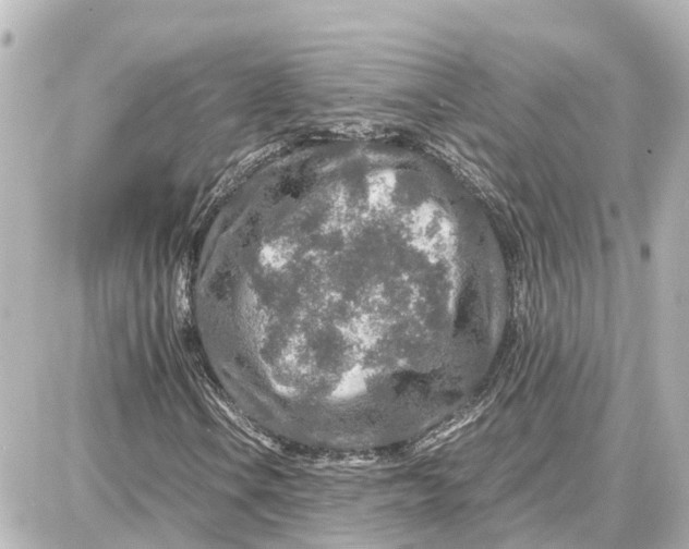 X0000087691106200705251701