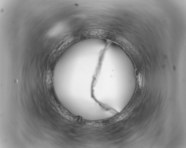 X0000087691107200705251701