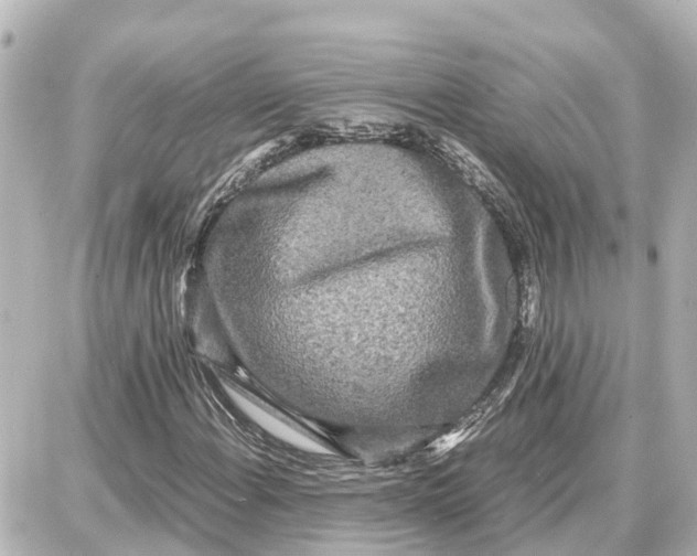 X0000087691108200705251701