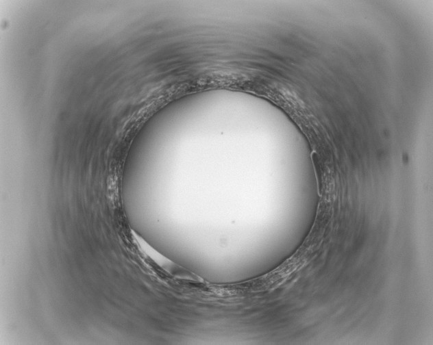 X0000087691109200705251701