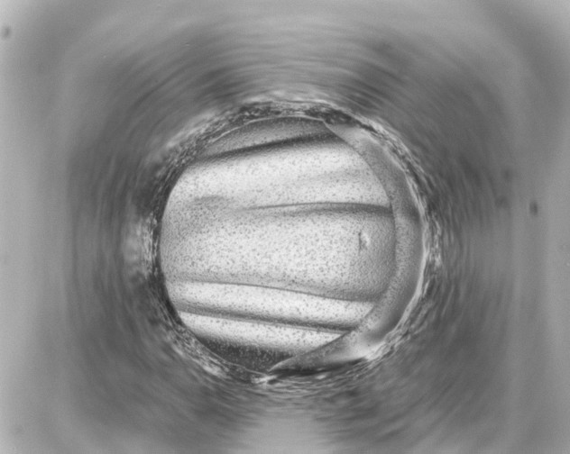 X0000087691110200705251702