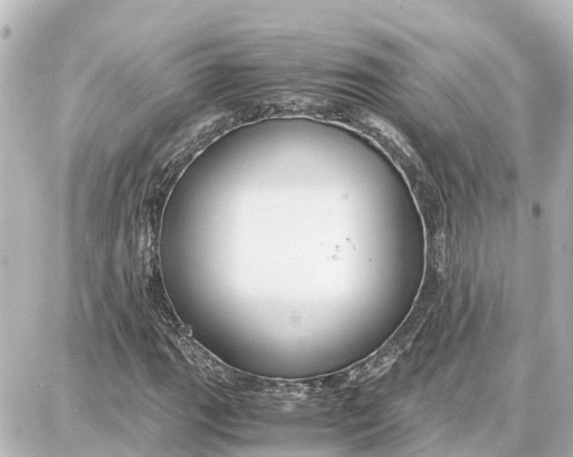 X0000087691111200705251702