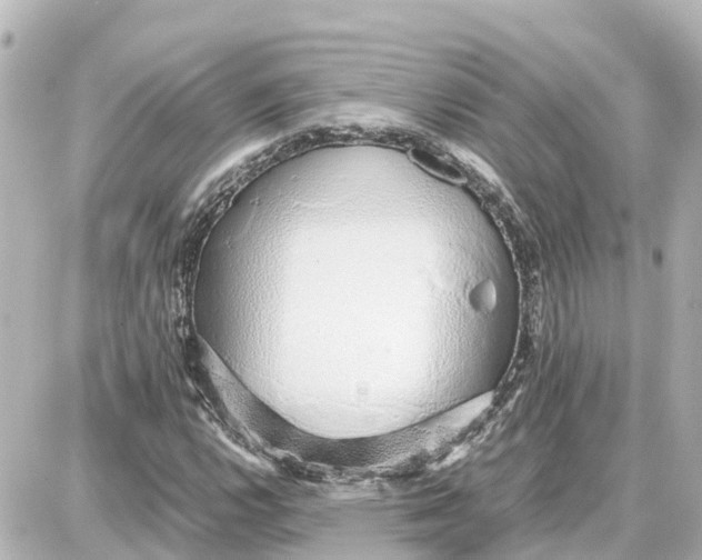 X0000087691112200705251702