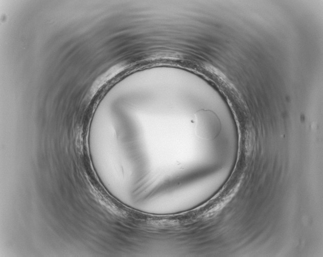 X0000087691113200705251702