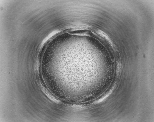 X0000087691114200705251702