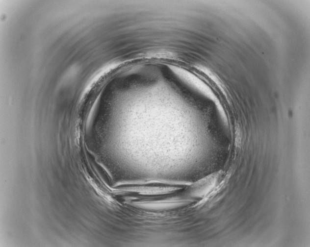 X0000087691115200705251702