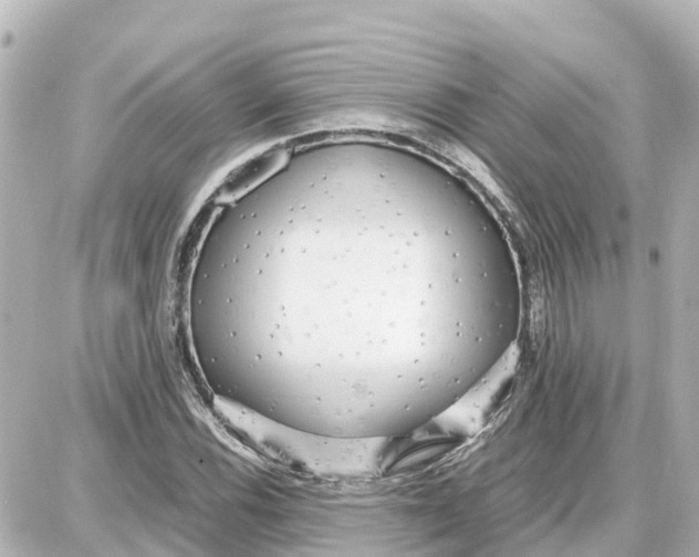 X0000087691116200705251702