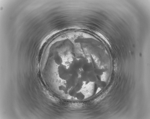 X0000087691117200705251702