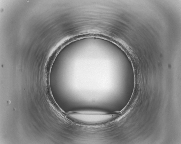 X0000087691118200705251702