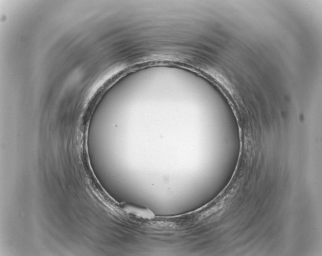 X0000087691119200705251702