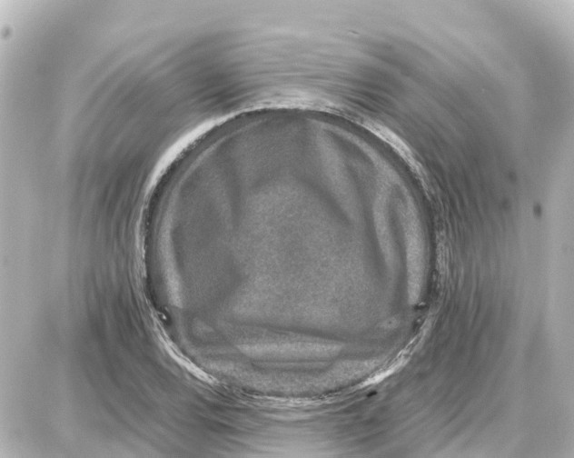 X0000087691120200705251702