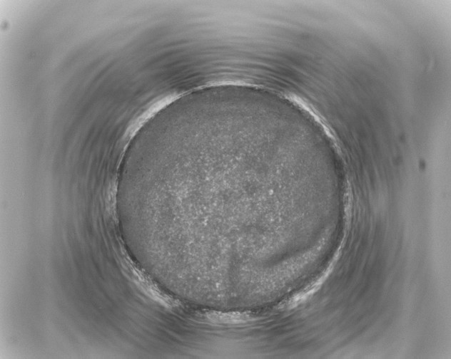 X0000087691121200705251702