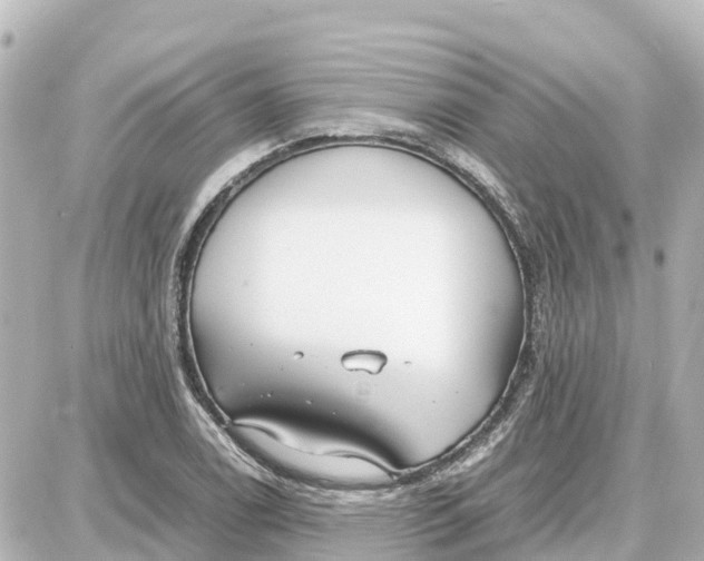 X0000087691122200705251702