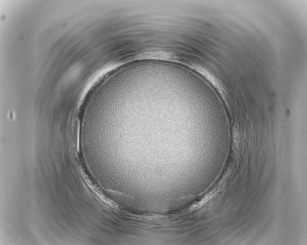 X0000087691123200705251702